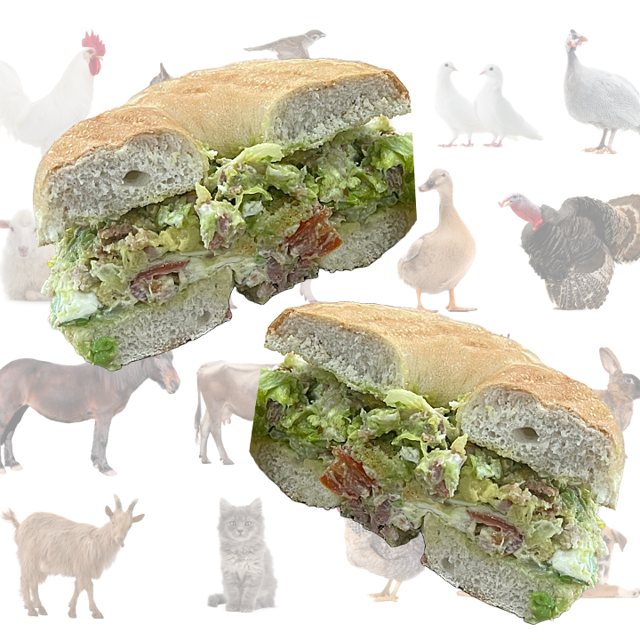 Oinker.